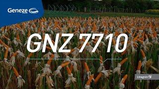 Lançamento GNZ 7710VIP2.