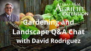 Gardening and Landscape Q&A Chat with David Rodriguez