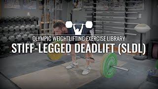 Stiff-Legged Deadlift (SLDL) | Olympic Weightlifting Exercise Library