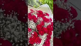 دسته گل ۱۰۰ شاخه رز قرمز + ژیپسوفیلا + کاغذ ضد آب وارداتی️