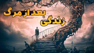 رازهایی که علم برای ما از زندگی پس از مرگ پنهان کرده است