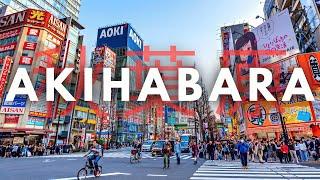 Tokyo’s Anime District Tour | AKIHABARA (I DID NOT EXPECT THIS!)