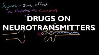 The Influence of Drugs on Neurotransmitters - AP Psychology