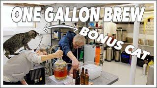  1 Gallon Of Beer -  Your First HomeBrew Recipe @BrewHouse Glen & Friends