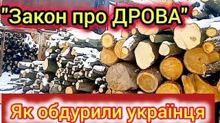 ШТРАФИ ЗА ЗБЕРІГАННЯ ТА ПЕРЕВЕЗЕННЯ ДРОВ - НЕЗАКОННІ