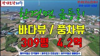 121. [제주도토지] 판포포구 인근 지대가 높아 바다뷰가 시원하게 나오는 고급 전원주택부지ㅣ전면도로를 따라 길게 접해 분할하기 용이ㅣ광개토왕공인중개사 010-6232-6260