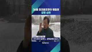 [G1뉴스] 파크골프장 때문에..마을주민 양분