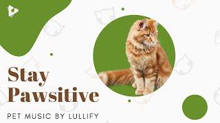 Stay Pawsitive - 1 Hour of Soft Tunes for Cats | Pet Music by Lullify | Lullify ∞ 618