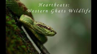 Western Ghats Wildlife : Heartbeats of Nature