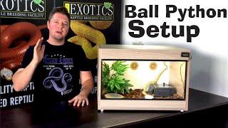 BALL PYTHON SETUP FOR BEGINNERS!