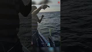 Deep Sea Fishing for King Fish #fishing #fishingvideo #fishingtime