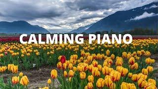 Calming Music: Beautiful Piano Music: Relaxing and Calming Music for 3 HRS