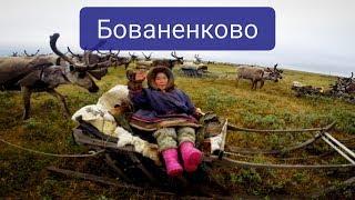 Ямал. Бованенково. Ненцы