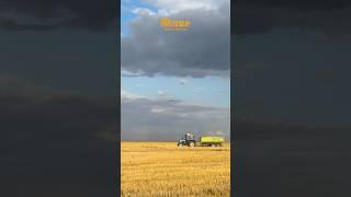 И так каждый год! #сельскоехозяйство #сельхозтехника #лбр