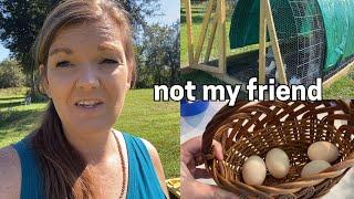 Not my Friend (Chicken Update) | Large Family Vlog