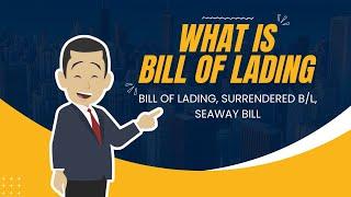 Bill of Lading B/L : Types of Bill of Lading Explained For Beginner