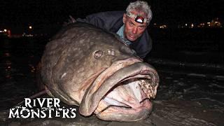 Jeremy Wade catches a HUGE 250lbs+ Queensland GROUPER by accident | River Monsters