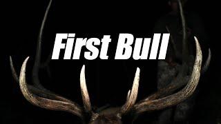 First Bull: Public Land Archery Elk Hunt