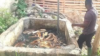 Treatment of a fish pond| Curing your concrete pond| most important aquaculture activity