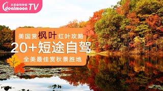 美国赏枫叶红叶攻略！短途自驾，全美最佳赏秋景胜地！