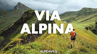 Hiking the Via Alpina – Swiss Alpine Pass Route