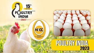 Poultry Farmers | National Egg Coordination Committee | Poultry India 2023 | Hybiz tv