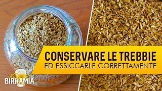 Come conservare le trebbie di birra ed essiccarle  Birramia