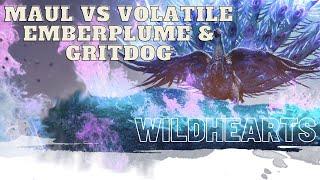 WILDHEARTS!- Maul vs Volatile Emberplume and Gritdog