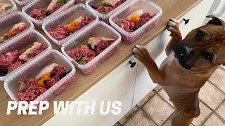 Vlog: Simple Meal Prep for my Staffies