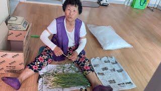 Trời Mưa Đội Ô Dù Đi Hái Rau Cho Con Dâu