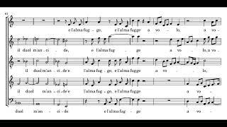 Gesualdo: Se la mia morte brami - Profeti della Quinta