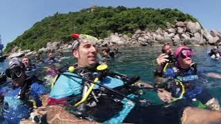 Koh Tao 2018 Diving with Ocean Dive