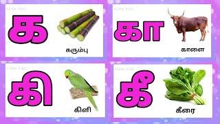 க கா கி கீ / ka kaa ki kee / Learn uyir mei eluthukkal for kids @Elatekidz-ql1yk