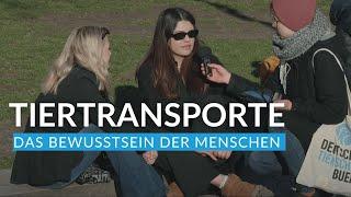 Realitätscheck Tiertransporte - Straßenbefragung Teil 2