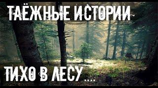 Не кричи в лесу, лисе это не нравиться. Страшные. Мистические. Творческие  рассказы.