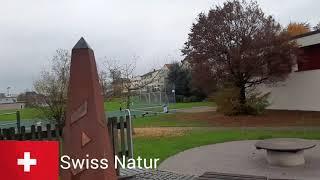 Swiss Natur:Sg Wil 14.11.2021