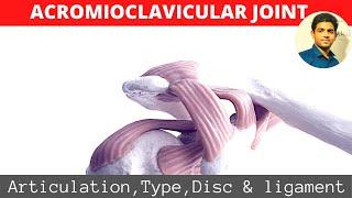 ACROMIOCLAVICULAR JOINT#SHOULDER BIOMECHANICS( Part 1)