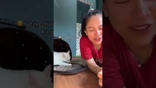 marah muluuuuu  ig. chlowiesemok #cat #catlover #catvideos #cattiktok