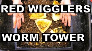 Home Worm Farm - Red Wigglers- Worm Tower