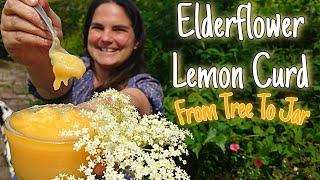 Elderflower Lemon Curd! From Tree To Jar 