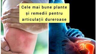 Plante si remedii naturiste pentru durerile articulare