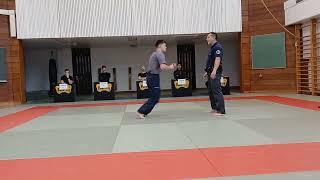 Prikazne tehnike Ju-jitsu, Policija