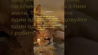  1 Солунян 5:9-11 Сучасний переклад Біблії українською мовою #biblevision