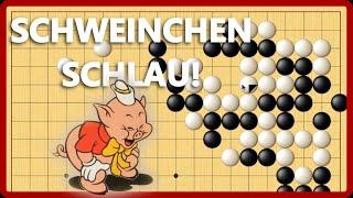 Schweinchen Schlau - Steinchen schlau!