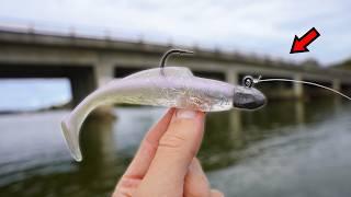 Fishing a Bridge for GIANT Fish!!