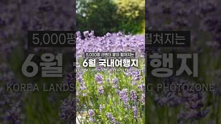 이번 6월에 가야 할 국내 여행지 추천