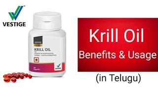 Vestige Krill Oil Benefits | in Telugu | Vestige Health care products