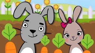 Bunny Finger Family | New Mother Goose Club Kids Song