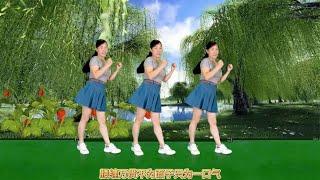 DJ广场舞《努力去赚钱吧》零基础32步，歌醉舞美