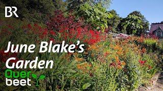 June Blake´s Garden